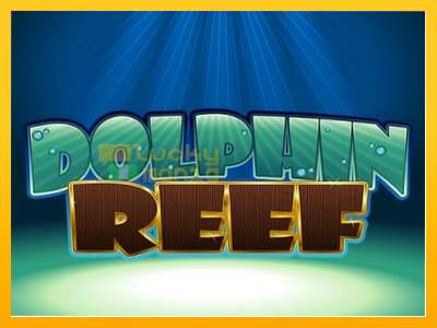 Dolphin Reef