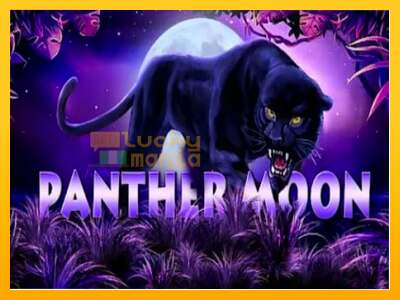 Panther Moon