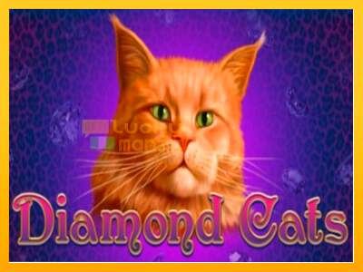 Diamond Cats