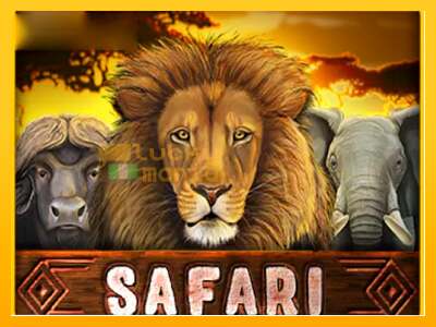 Safari