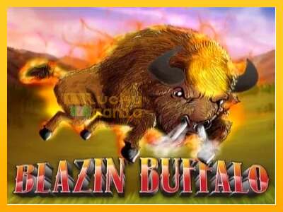 Blazin’ Buffalo