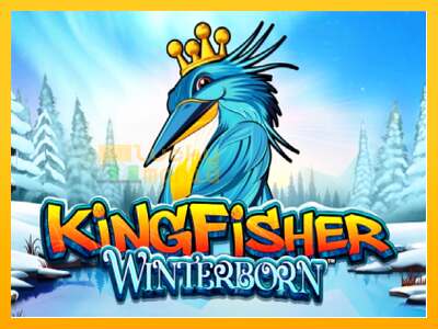 Kingfisher Winterborn