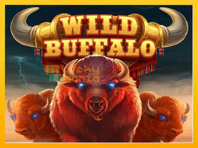 Wild Buffalo