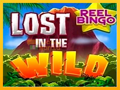 Lost in the Wild with Reel Bingo