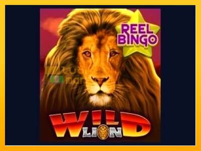 Wild Lion with Reel Bingo