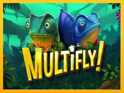 MultiFly!