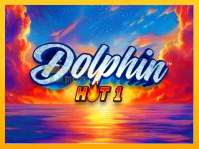 Dolphin Hot 1