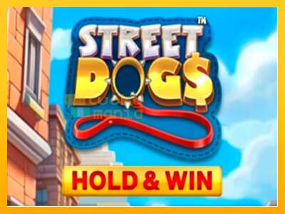 Street Dogs