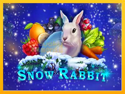 Snow Rabbit