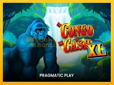 Congo Cash XL