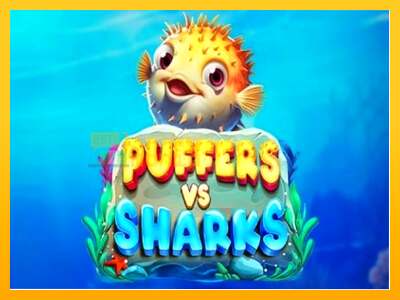 Puffers Vs Sharks