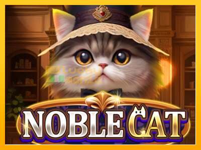 Noble Cat