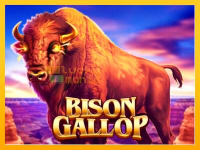 Bison Gallop