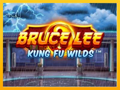 Bruce Lee Kung Fu Wilds