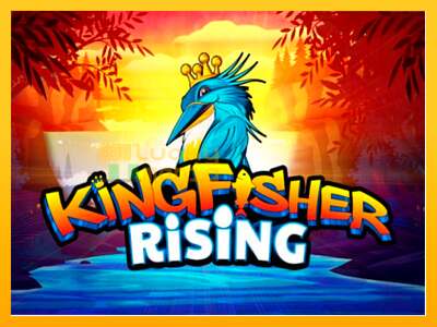 Kingfisher Rising