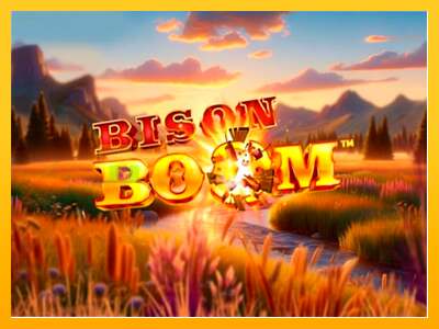 Bison Boom