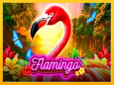 Flamingo