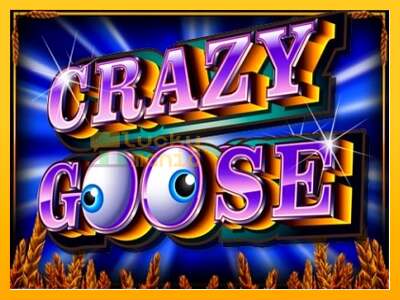 Crazy Goose